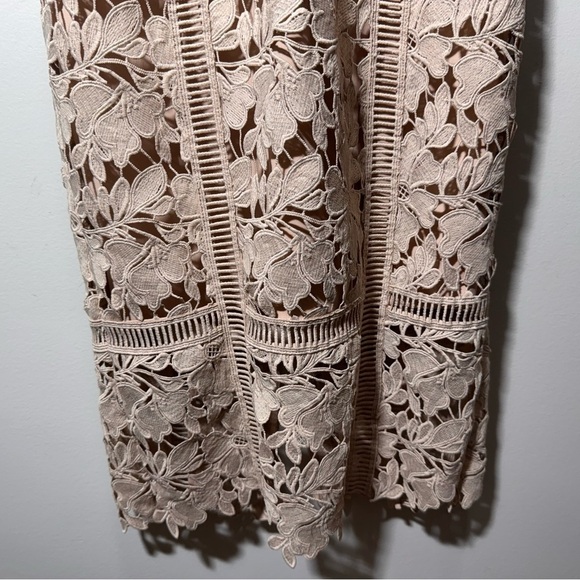 BARDOT Botanica Lace Bodycon Dress Size XS Feminine Wedding Guest Cocktail Dress - Picture 5 of 13
